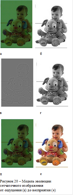  а			б в			г д			еРисунок 20 – Модель эволюции сетчаточного изображения от ощущения (а) до восприятия (е)